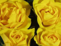 Roses Forever® Hot Yellow™