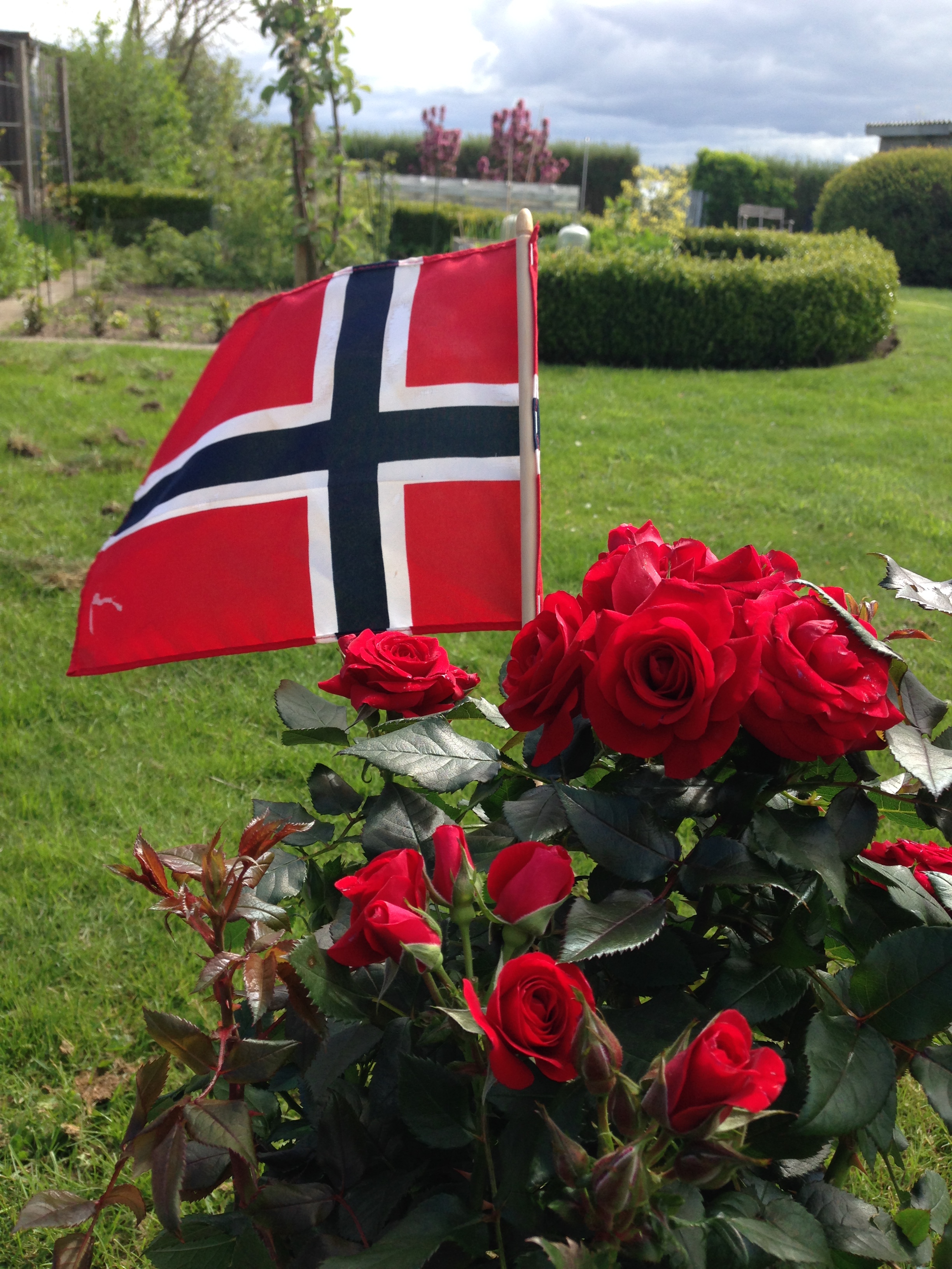 Sweet Love of Mine_Norsk nationaldag 1
