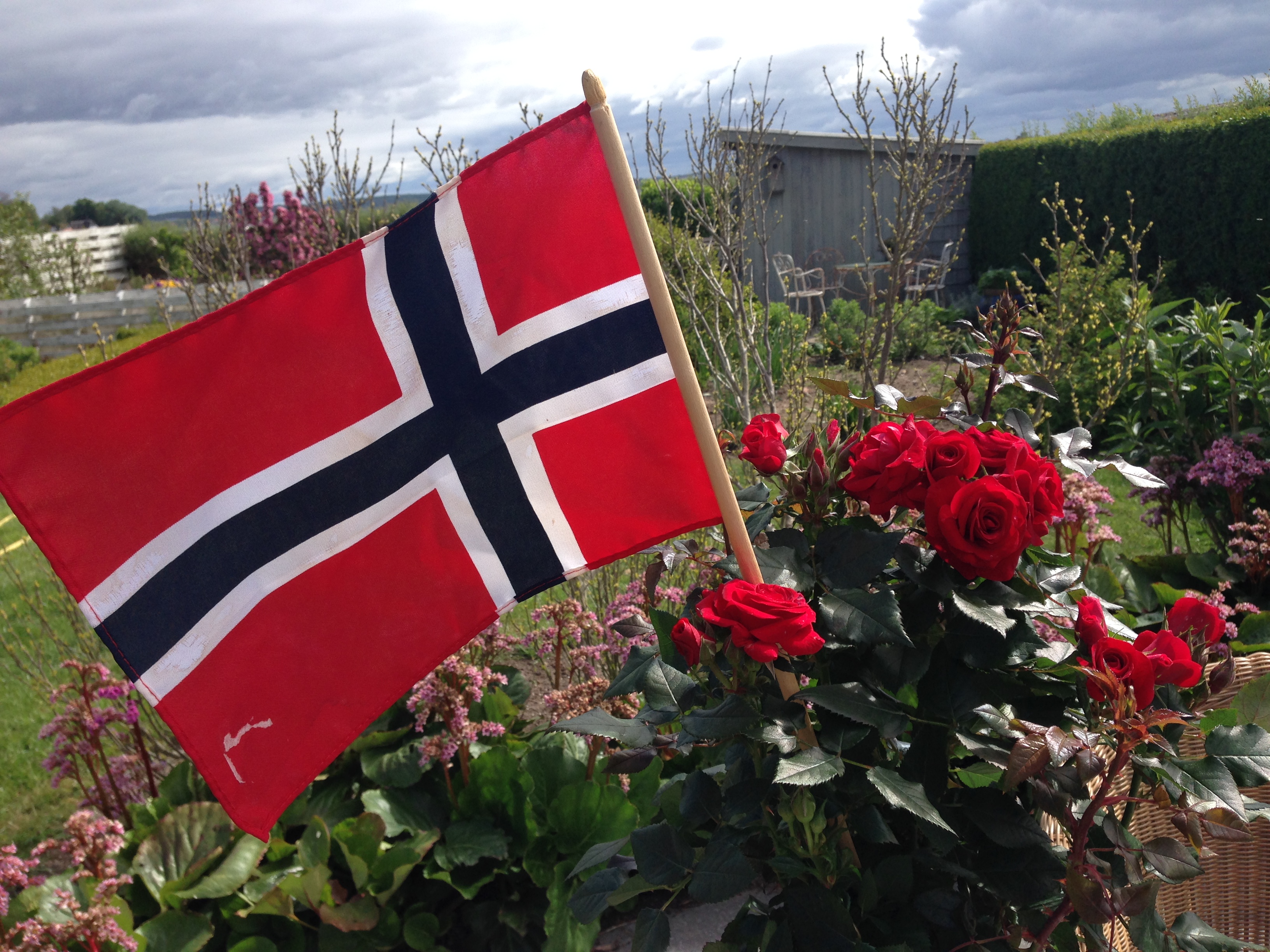 Sweet Love of Mine_Norsk nationaldag 2