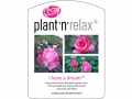 Plant'n'Relax - I have a dream