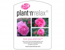 Plant'n'Relax - Just you and me