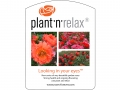 Plant'n'Relax - Looking in your eyes