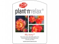 plantnrelax_my-story