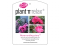 Plant'n'Relax - Never ending story